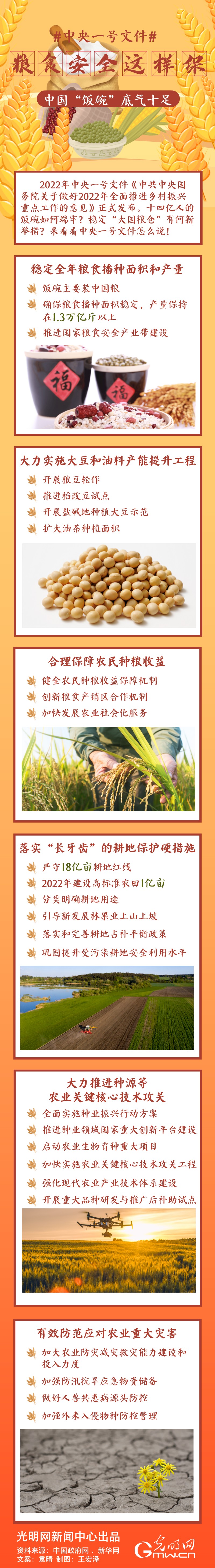 中央一號文件｜糧食安全這樣保，中國“飯碗”底氣十足