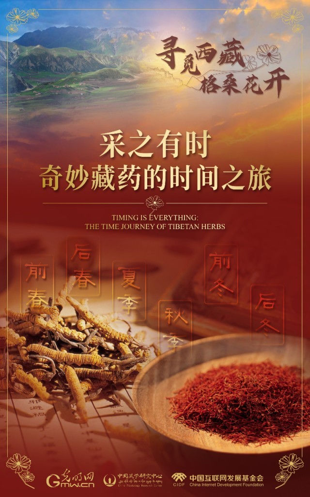【尋覓西藏·格?；ㄩ_】采之有時(shí)：奇妙藏藥的時(shí)間之旅