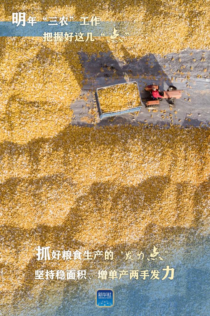 明年“三農(nóng)”工作，這幾個(gè)“點(diǎn)”要把握好
