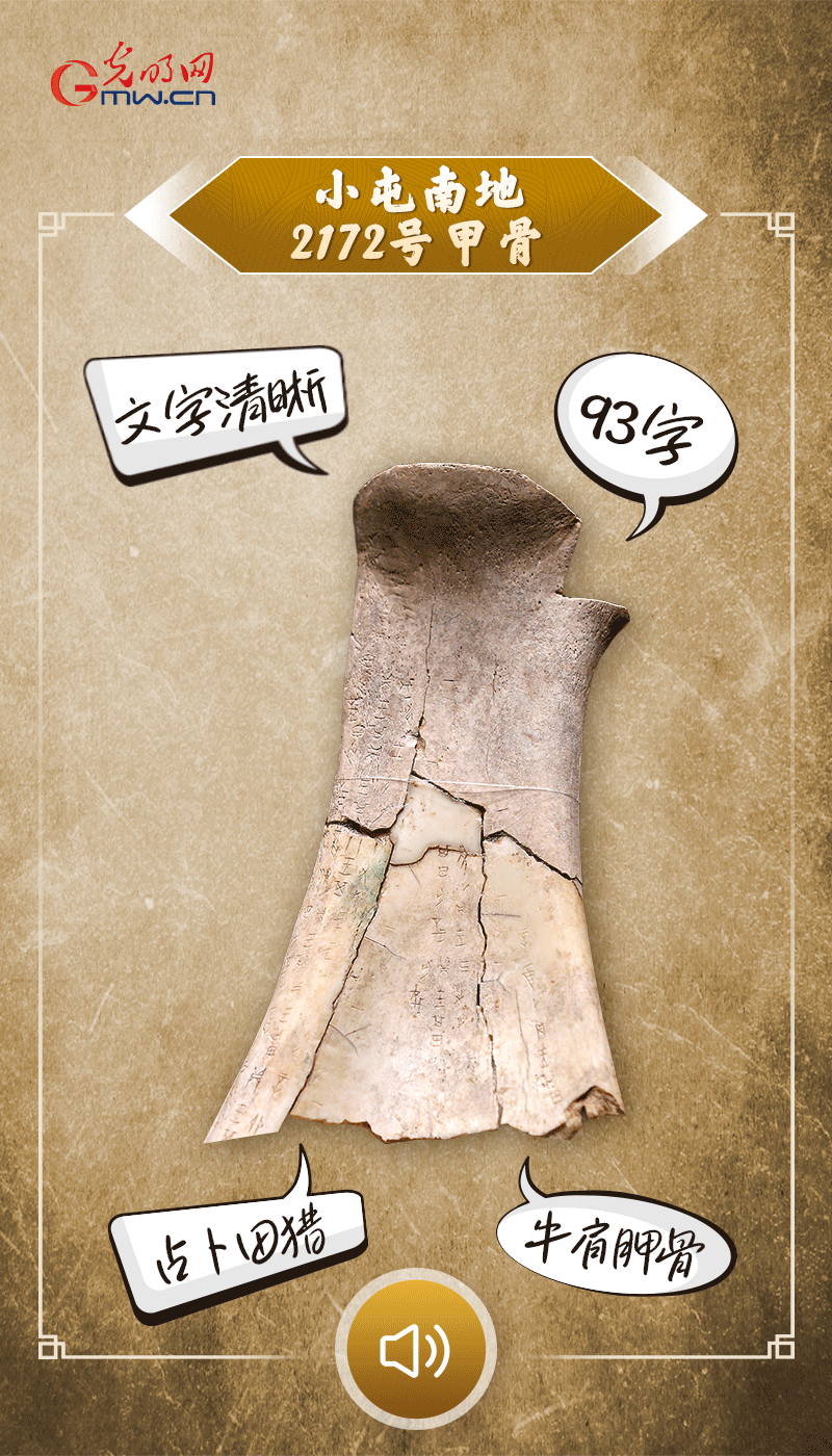 文物會(huì)說(shuō)話 | 殷墟博物館新館開館啦，帶你奔赴“千年之約”