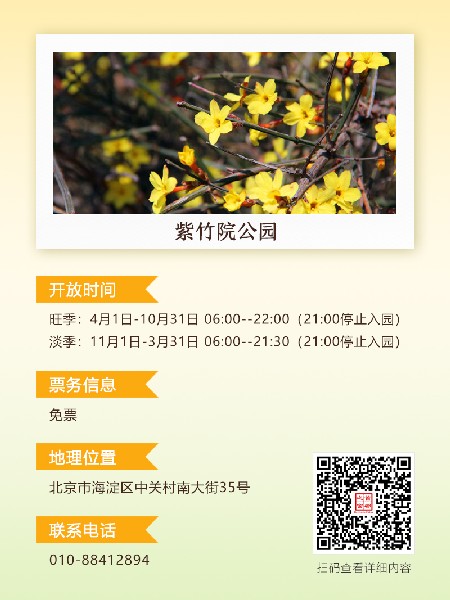 追花指南第二期！京城三月里最撩人的玉蘭觀賞地