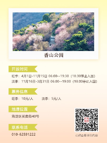 追花指南第六期！杏花雨 楊柳風(fēng) 北京最美的杏花在這里