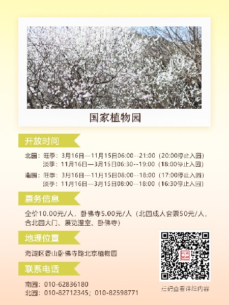 追花指南第六期！杏花雨 楊柳風(fēng) 北京最美的杏花在這里