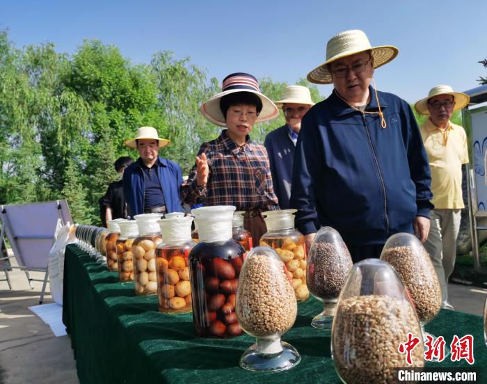 青海：利用冷涼氣候，打造高原綠色種業(yè)輸出地