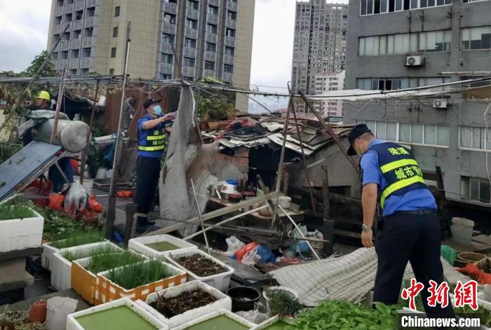 在一處居民樓屋頂，城管隊(duì)員拆除“空中菜園”?！〗疖?攝