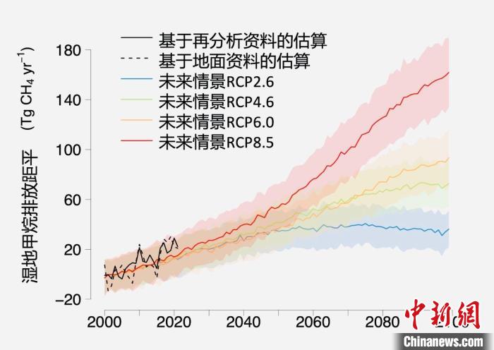 基于觀測(cè)的濕地甲烷排放變化與未來(lái)氣候變化情景下估算的對(duì)比?！≈锌圃呵嗖馗咴?供圖