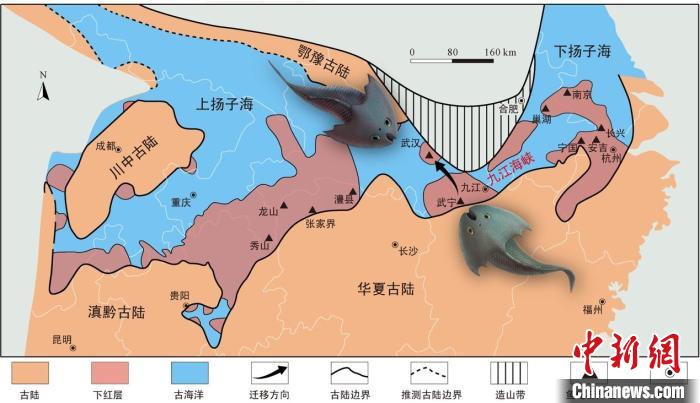 華南地區(qū)志留紀早期古地理圖和盔甲魚類化石產(chǎn)地(山顯任改自陳旭、戎嘉余，1996；戎嘉余等，2012) 中科院古脊椎所 供圖
