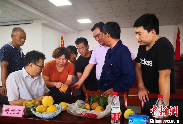 民進浙江省委會為三里橋黃桃種植戶送技術(shù)、送指導(dǎo)。　嘉善統(tǒng)戰(zhàn) 供圖