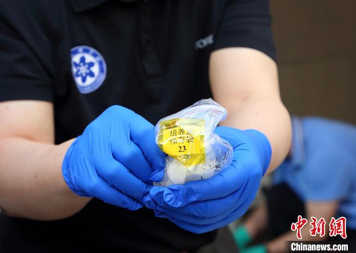 隨神舟十五號返回地面的空間科學(xué)實驗樣品?！≈锌圃嚎臻g應(yīng)用中心 供圖