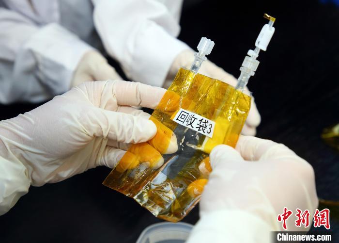 隨神舟十五號返回地面的空間科學(xué)實驗樣品?！≈锌圃嚎臻g應(yīng)用中心 供圖
