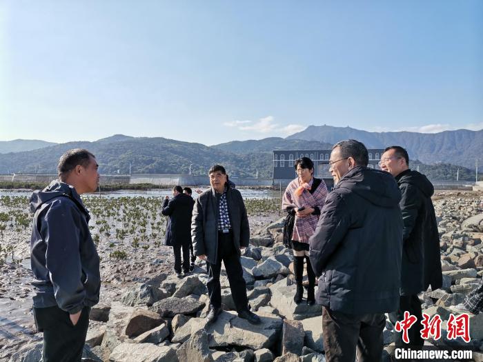 浙江海洋生態(tài)觀察：智慧大腦如何解鎖藍(lán)色發(fā)展密碼？
