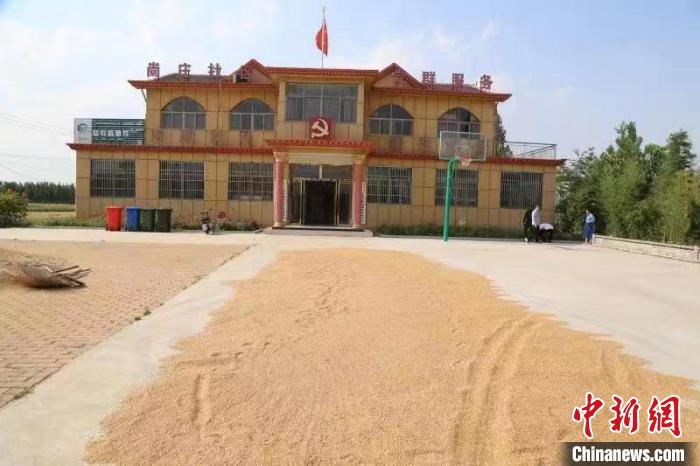 農(nóng)民在邳莊鎮(zhèn)尚莊村黨群服務(wù)中心大院里曬糧?！≠Z萌 攝