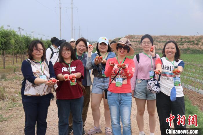 圖為臺(tái)胞體驗(yàn)大美內(nèi)蒙古?！⊥袐I供圖