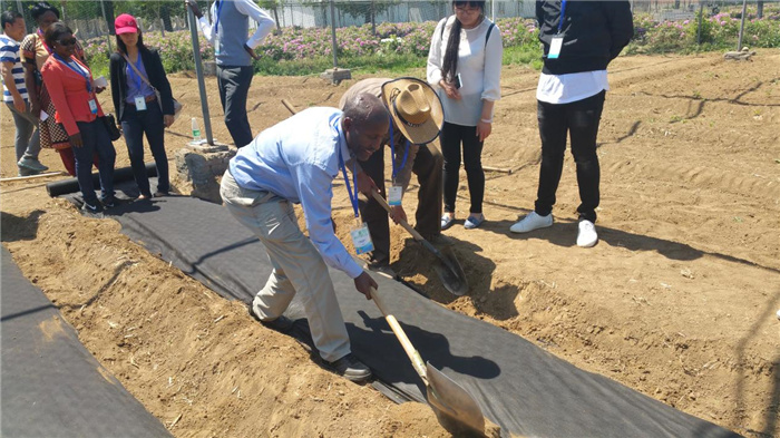 孫釗現(xiàn)場指導(dǎo)農(nóng)民耕種。受訪者供圖