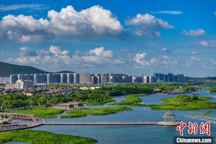 資料圖：航拍蘇州太湖湖濱國家濕地公園，藍(lán)天碧水生態(tài)美。 泱波 攝