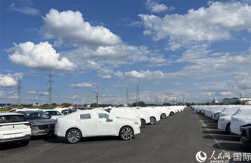 莫斯科別雷拉斯特物流中心內(nèi)的中國品牌汽車。人民網(wǎng)記者 申佳平攝