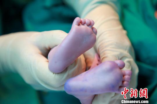 資料圖。簡(jiǎn)文楊 攝