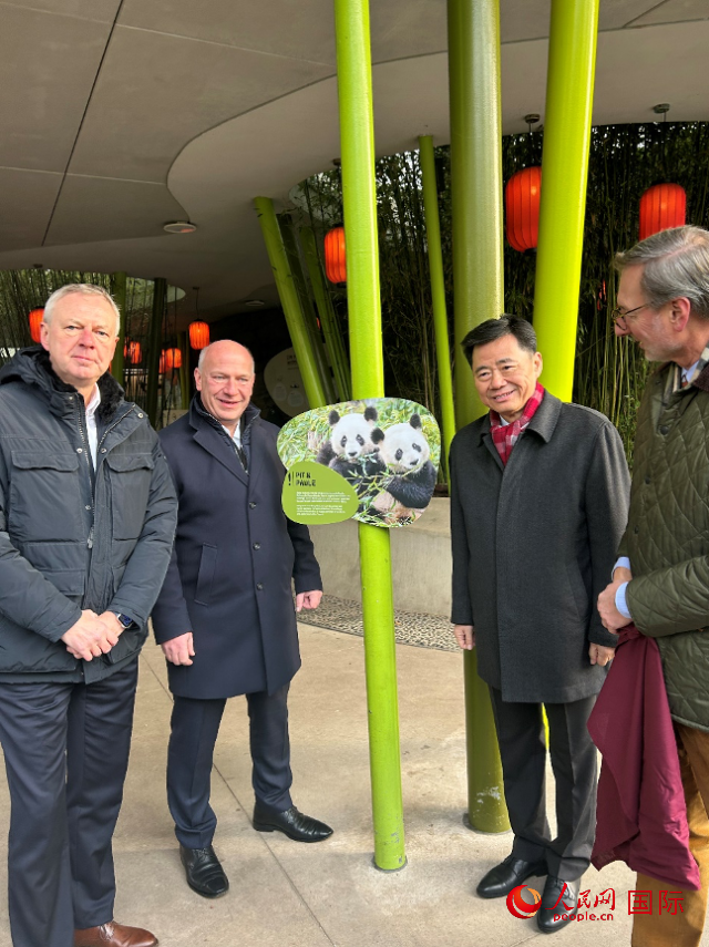 中國駐德國大使吳懇（右二）、柏林市長韋格納（左二）、動(dòng)物園園長克尼里姆（右一）和監(jiān)事會(huì)主席布魯克曼（左一）共同為“夢(mèng)想”“夢(mèng)圓”大熊貓紀(jì)念牌揭幕。人民網(wǎng)記者 徐馨攝