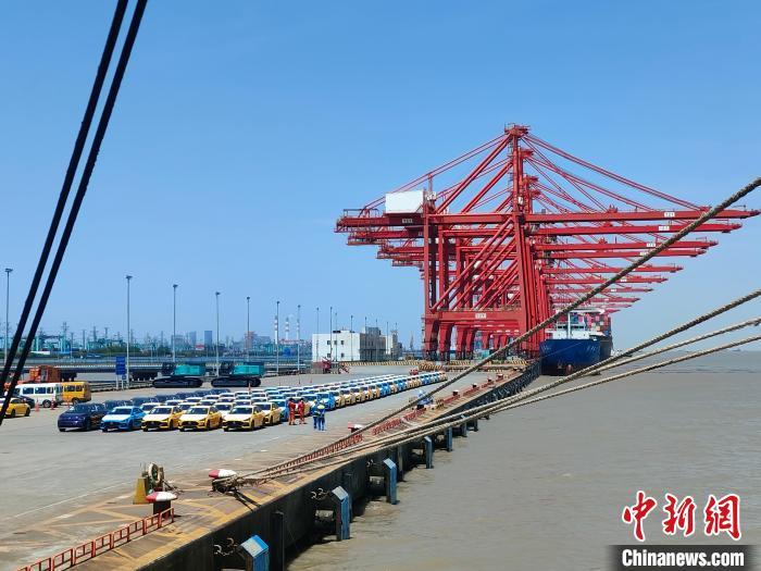 資料圖：國產(chǎn)新能源車在上海外高橋港區(qū)海通碼頭“整裝待發(fā)”?！∑址?攝