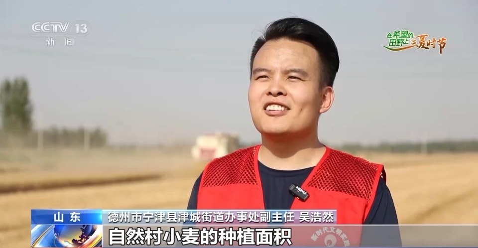 “三夏”生產(chǎn)思維導圖安排上了！還有政府大院等你來“曬”