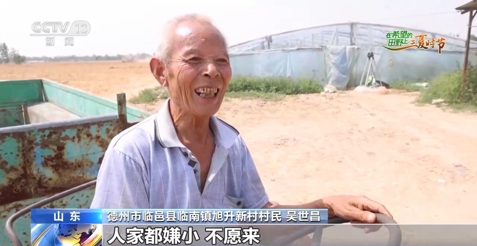 “三夏”生產(chǎn)思維導圖安排上了！還有政府大院等你來“曬”