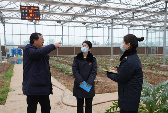 稅務干部走進常德市西洞庭管理區(qū)的朝鮮薊種植基地，宣傳稅費優(yōu)惠政策，助力農企搶農時、抓春耕、穩(wěn)增長。吳家豪攝