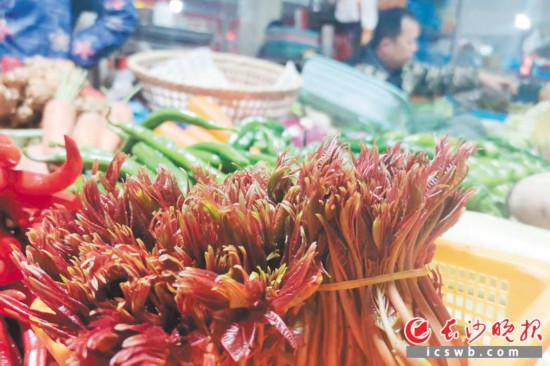 　　農(nóng)貿(mào)市場里鮮嫩的香椿。　　均為長沙晚報(bào)全媒體記者 劉捷萍 攝