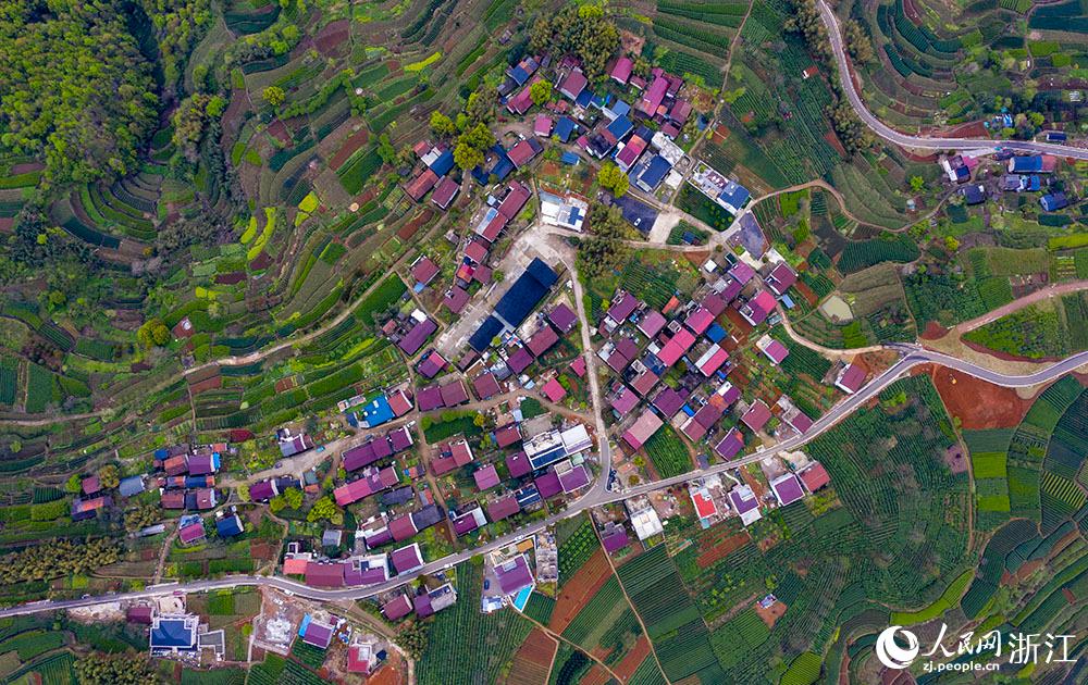 4月1日，紹興市新昌縣東茗鄉(xiāng)下巖貝村風(fēng)光秀麗，茶園旖旎。人民網(wǎng) 章勇濤攝