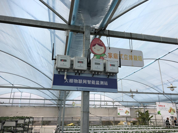 都市四季果園內(nèi)的物聯(lián)網(wǎng)智能監(jiān)測站系統(tǒng)。東?？h委宣傳部供圖