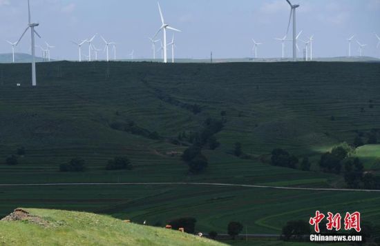 6月28日，河北張家口張北草原上大片風力發(fā)電的“風車”規(guī)模宏大。 中新社記者 楊艷敏 攝