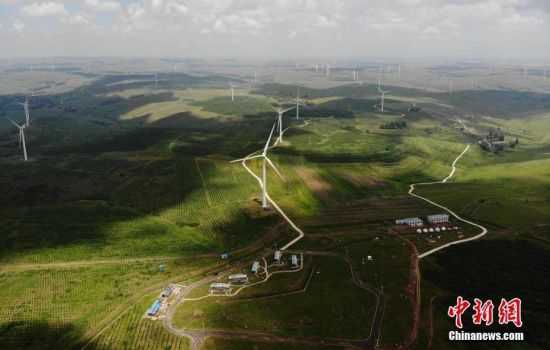 6月28日，河北張家口張北草原上大片風力發(fā)電的“風車”規(guī)模宏大。 中新社記者 楊艷敏 攝