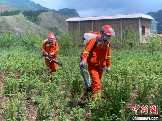 圖為觀摩會現(xiàn)場背負(fù)式電動噴霧演練。　李江寧　攝 　　