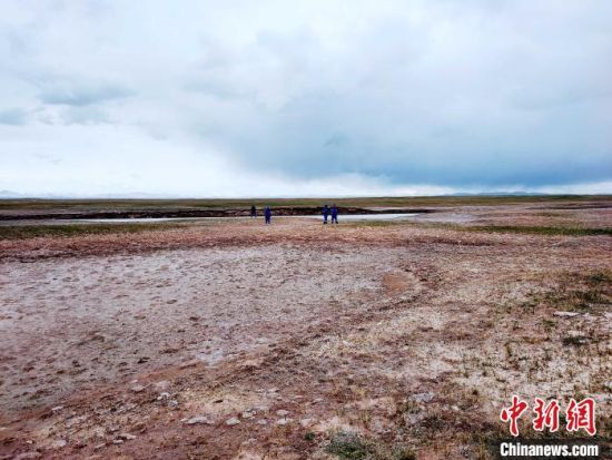 圖為救援力量在青海省西部搜救失聯(lián)的江蘇南京某大學(xué)女生黃某某。海西州藍(lán)天應(yīng)急救援中心 供圖