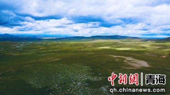 圖為長(zhǎng)江南源沼澤濕地。李江寧攝