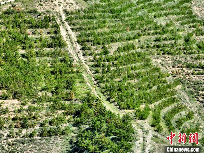 航拍建行青海省分行綠化區(qū)?！∑钤鲚?攝