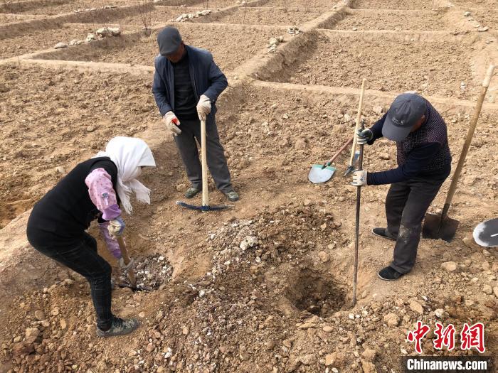 資料圖為建行青海省分行綠化區(qū)施工隊(duì)隊(duì)員處理亂石?！〗ㄐ星嗪Ｊ》中泄﹫D