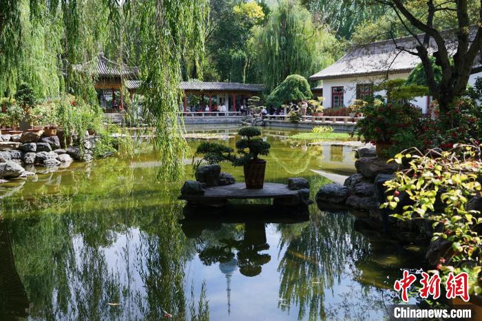 圖為西寧園林植物園秋日風(fēng)景別有韻味。　馬銘言 攝