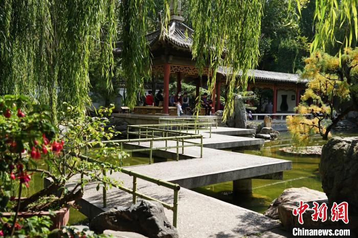 圖為西寧園林植物園秋日風(fēng)景別有韻味?！●R銘言 攝