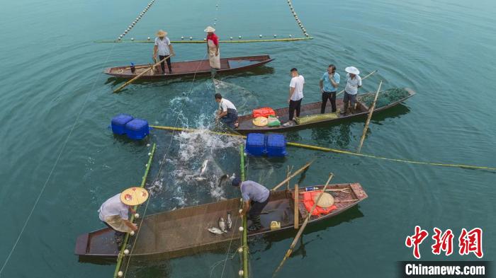 捕魚現(xiàn)場(chǎng)。　主辦方供圖