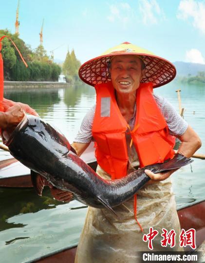 工作人員展示捕撈成果?！≈鬓k方供圖