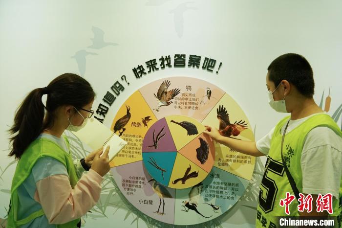 圖為小朋友在青海西寧湟水國家濕地公園科普館內(nèi)參觀學(xué)習(xí)?！●R銘言 攝