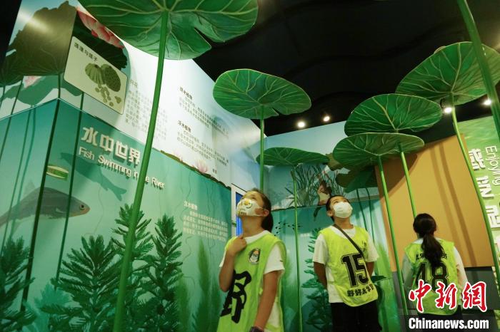 圖為小朋友在青海西寧湟水國家濕地公園科普館內(nèi)參觀學(xué)習(xí)。　馬銘言 攝
