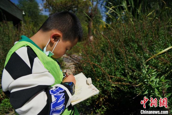 圖為小朋友在青海西寧湟水國家濕地公園內(nèi)認(rèn)識植物并進行繪畫?！●R銘言 攝