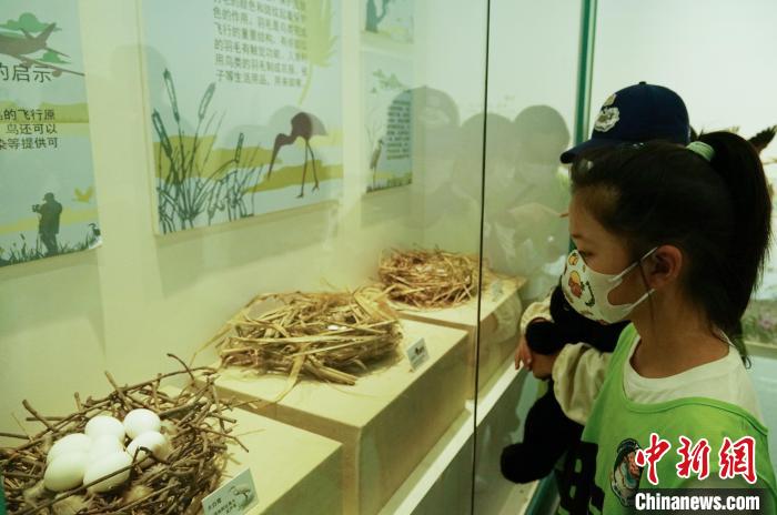 圖為小朋友在青海西寧湟水國家濕地公園科普館內(nèi)參觀學(xué)習(xí)?！●R銘言 攝