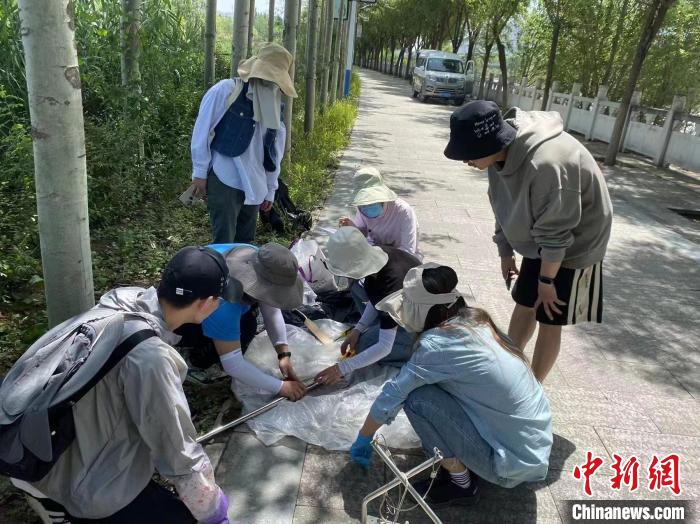 圖為科研人員正在進(jìn)行監(jiān)測(cè)?！∥鲗庝宜畤?guó)家濕地公園供圖