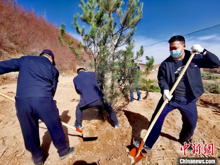 圖為西寧市城東區(qū)義務(wù)植樹活動現(xiàn)場?！?zhí)砀?攝