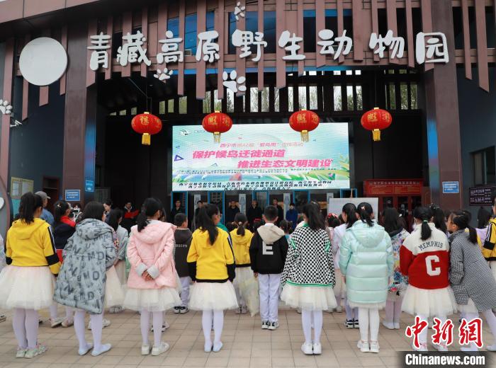 圖為青海省西寧市開展第42屆“愛鳥周”科普宣傳活動?！●R銘言 攝