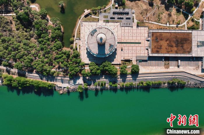 航拍青海貴德黃河岸畔綠意濃濃?！≮w凜松 攝