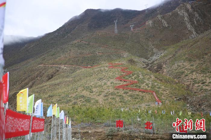 圖為拉薩南北山綠化工程拉薩曲水縣才納村5號(hào)片區(qū)?！∝暣_ 攝