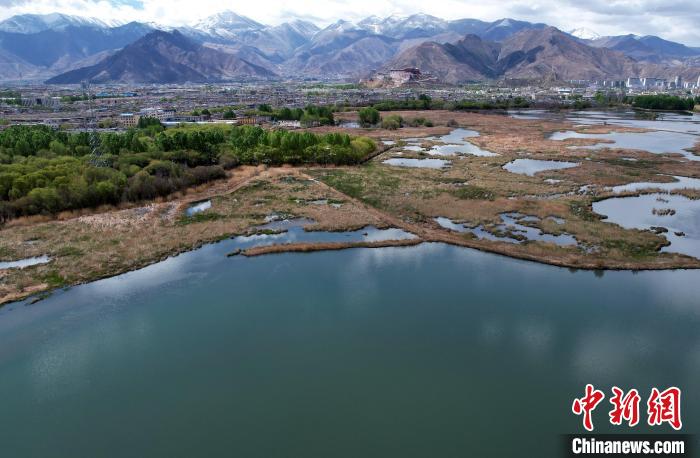 圖為拉薩拉魯濕地。(無(wú)人機(jī)照片) 李林 攝